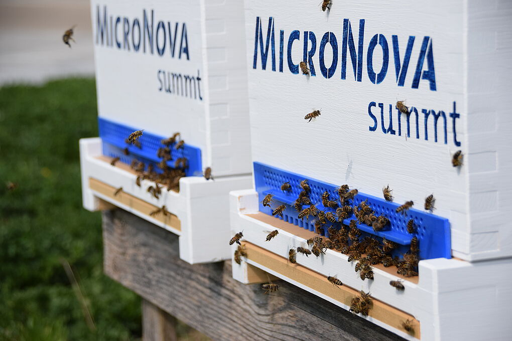 Bienenstöcke bei MicroNova