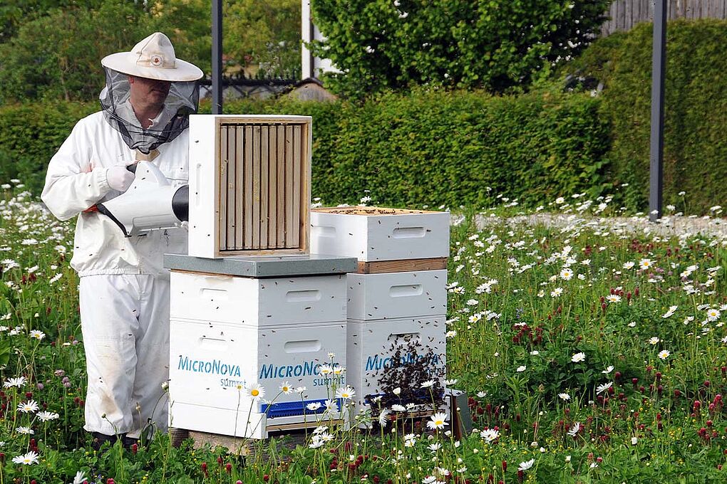 Blühpakt Bayern Beekeeper