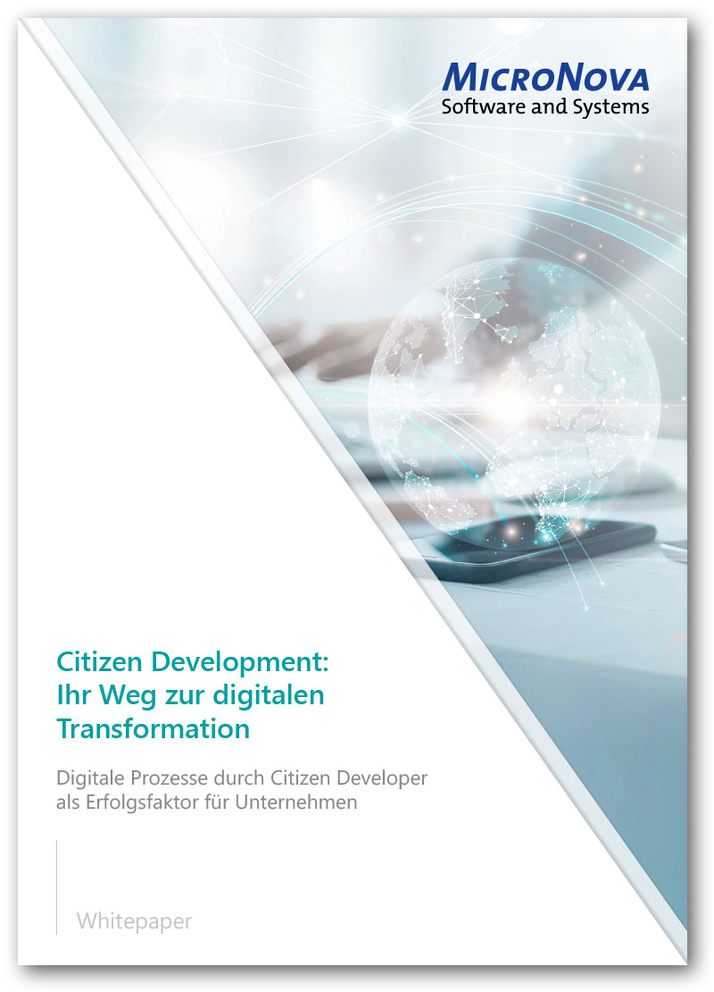 Vorschau Whitepaper Citizen Development